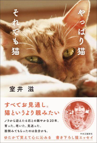 室井滋 新刊エッセイ『やっぱり猫　それでも猫』の画像